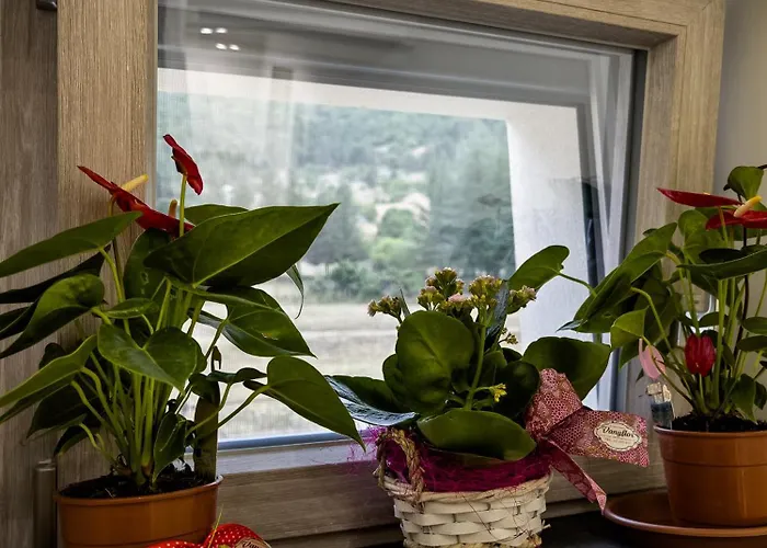 Bed and breakfast Borgo Dei Cervi